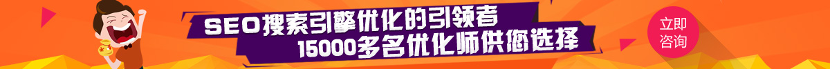 SEO優(yōu)化搜索引擎的領(lǐng)導(dǎo)者